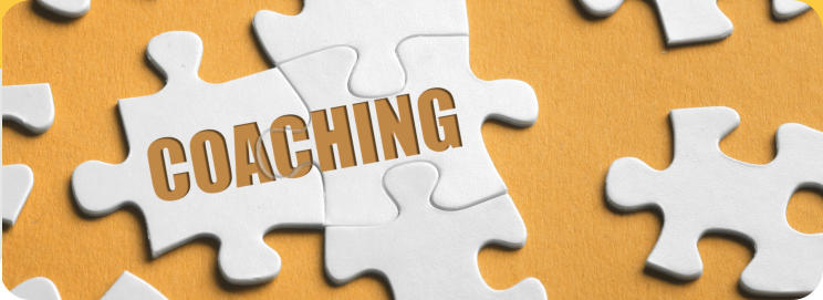 Systemische Beratung, systemische Coaching, Lebensberatung